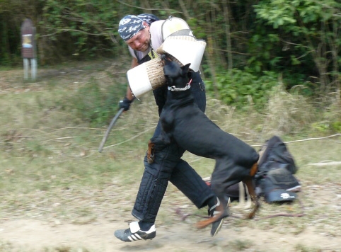 Seminar on Virgin Islands 2008